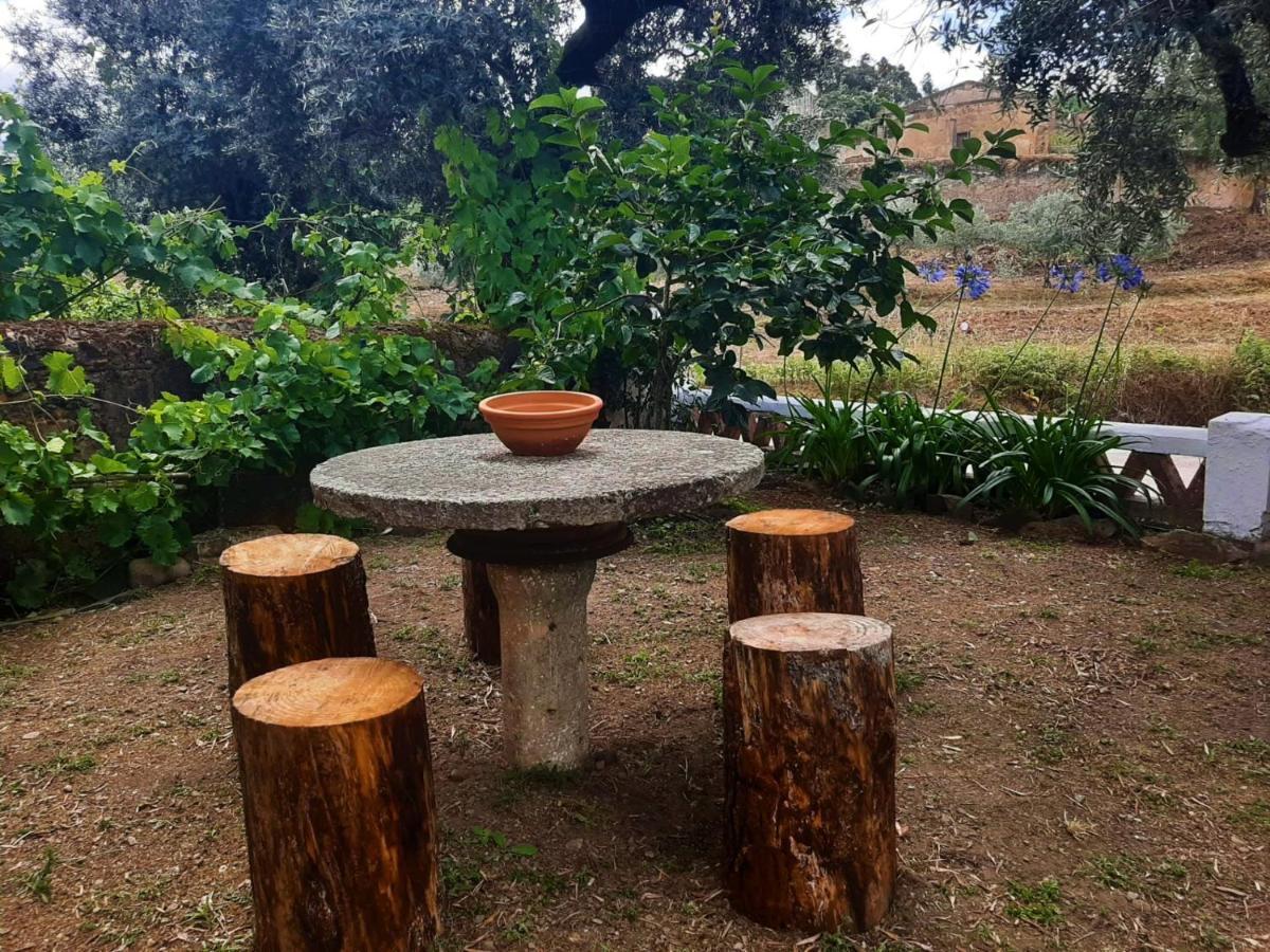 A Casa Da Ti Vina Gaviao