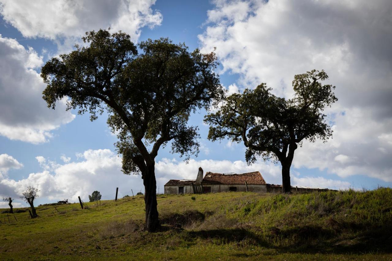 Holiday home A Casa Da Ti Vina Gaviao
